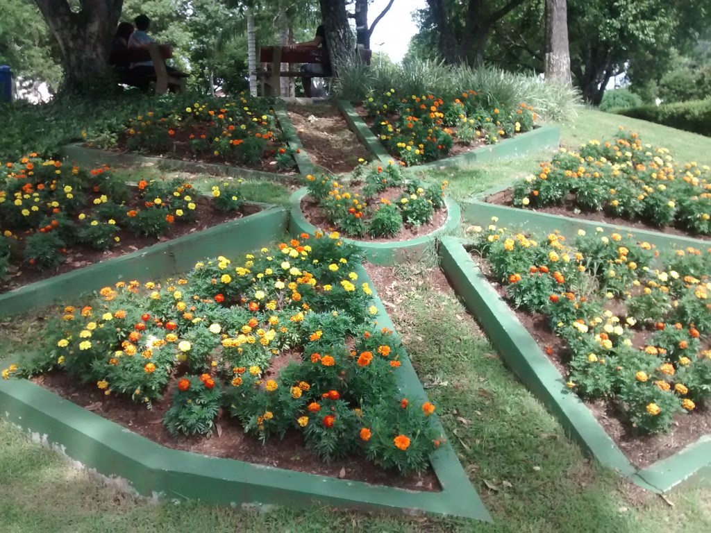 IMG_20141222_161123863