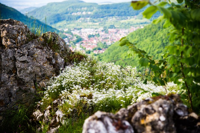 blick-aus-lichtenstein5