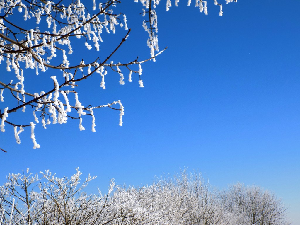 inverno-divergenciasvitais1