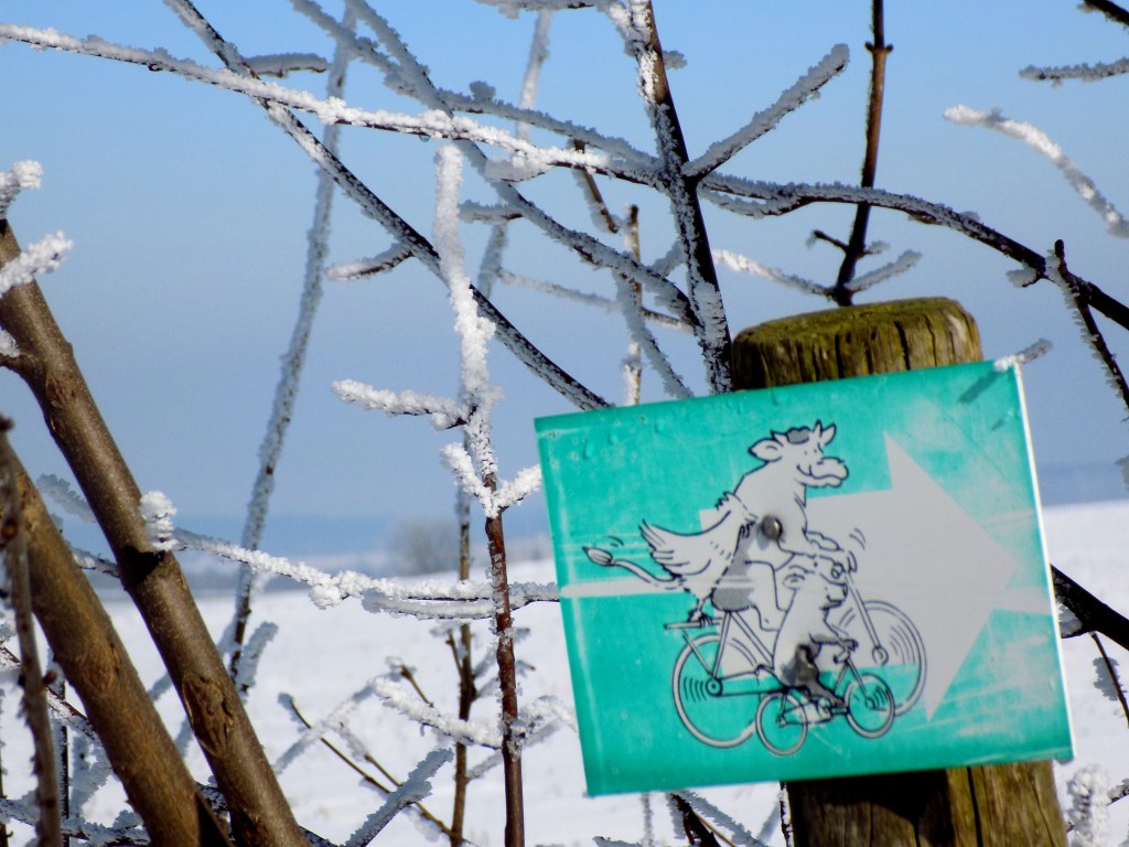 inverno-divergenciasvitais2