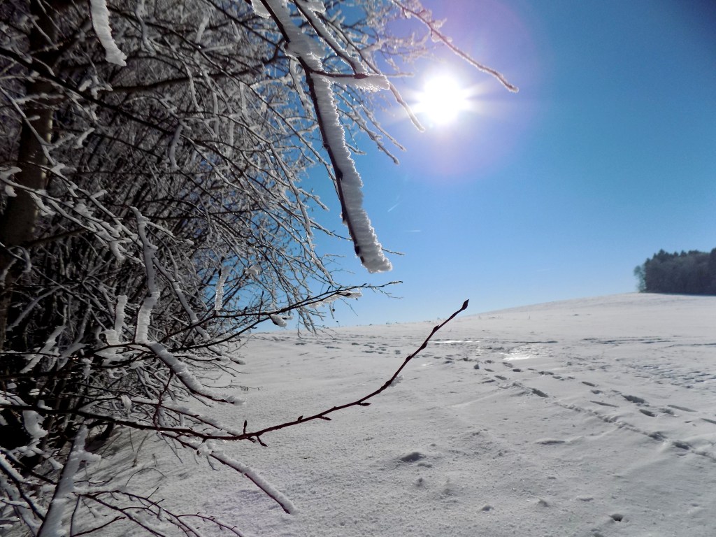 inverno-divergenciasvitais6