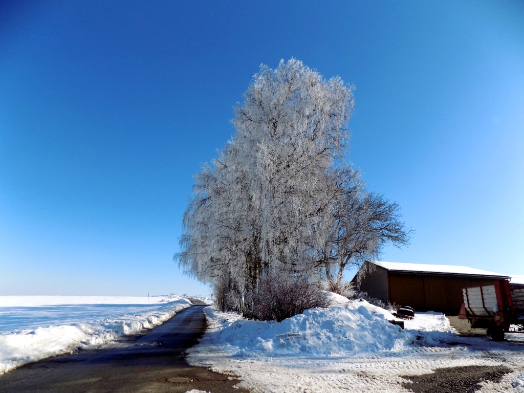 inverno-divergenciasvitais4