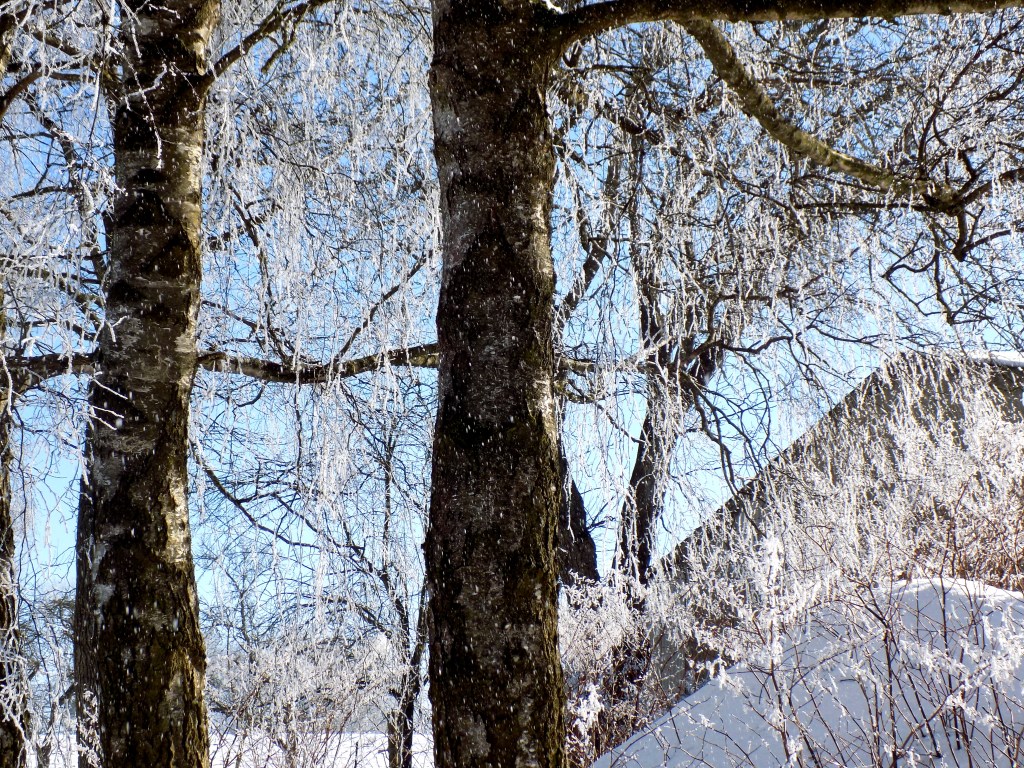 inverno-divergenciasvitais3