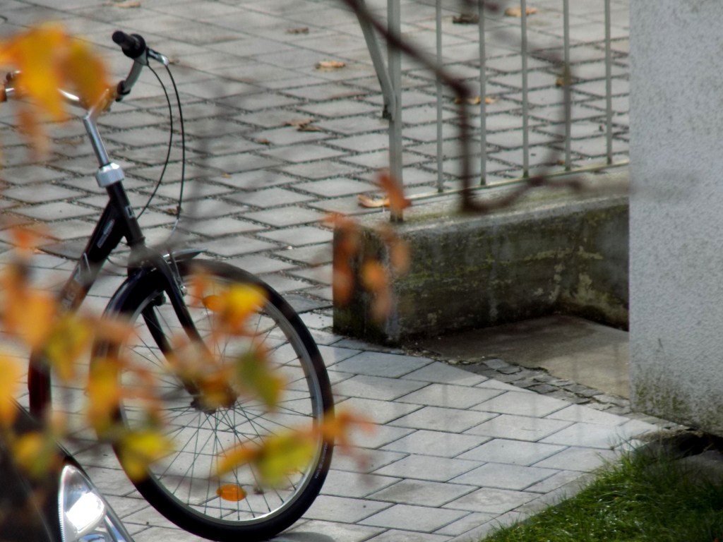 outonodivergenciasvitais (15)