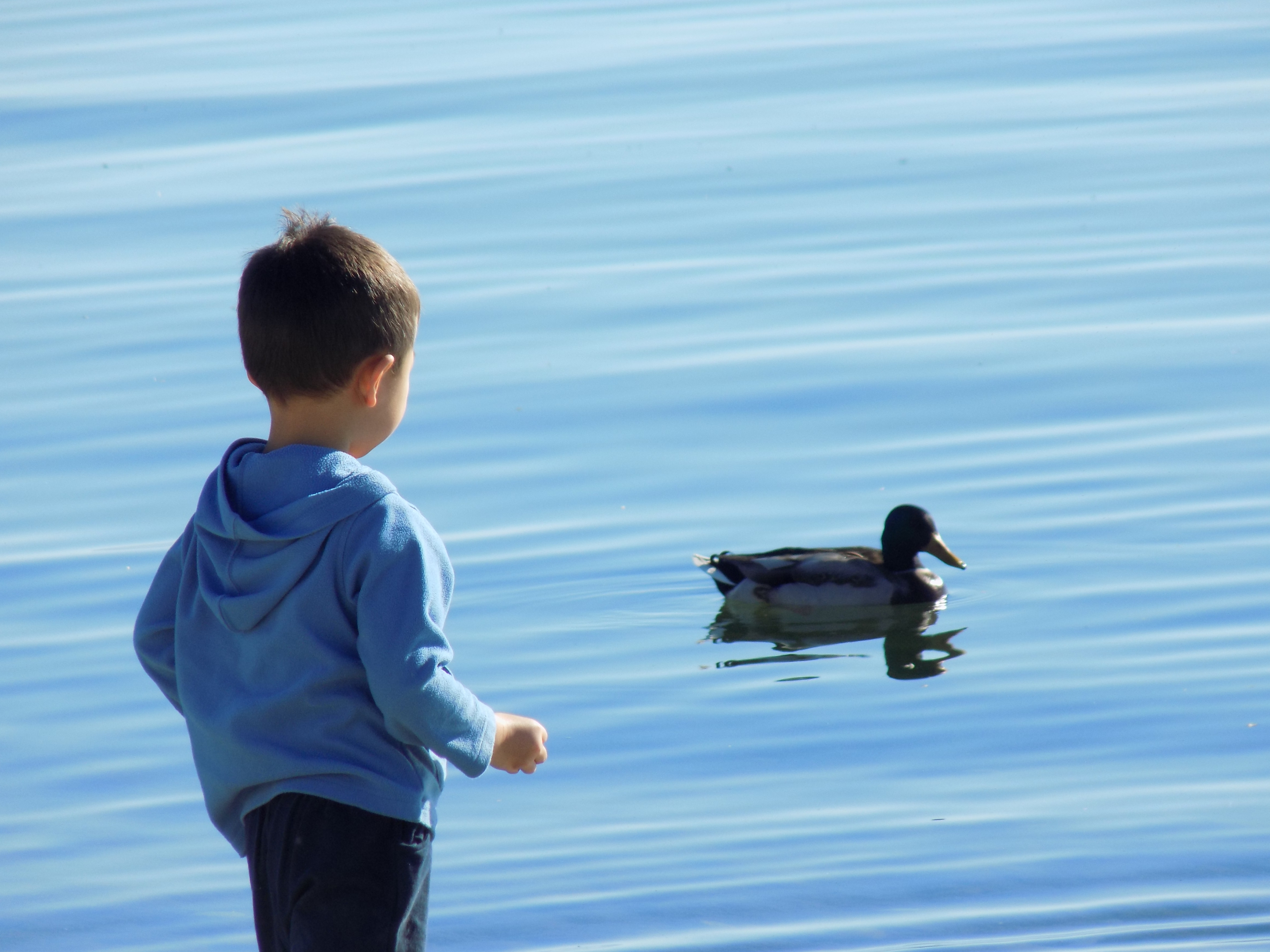 lago-da-constanca-bodensee2